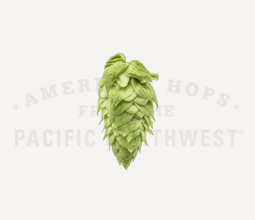 El Dorado® (US) Hops - Image 2