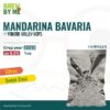 Mandarina Bavaria (GR) Hops