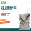 Golding (US) Hops