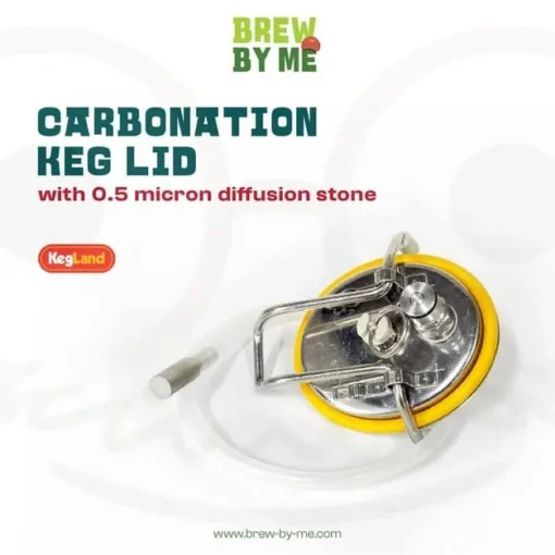 Carbonation Keg Lid with 0.5 Micron Diffusion Stone