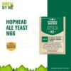 Hophead Ale M66 - Mangrove Jack’s