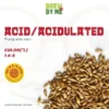 Acidulated Malt – Weyermann®