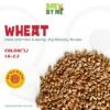 Wheat Malt - Weyermann®