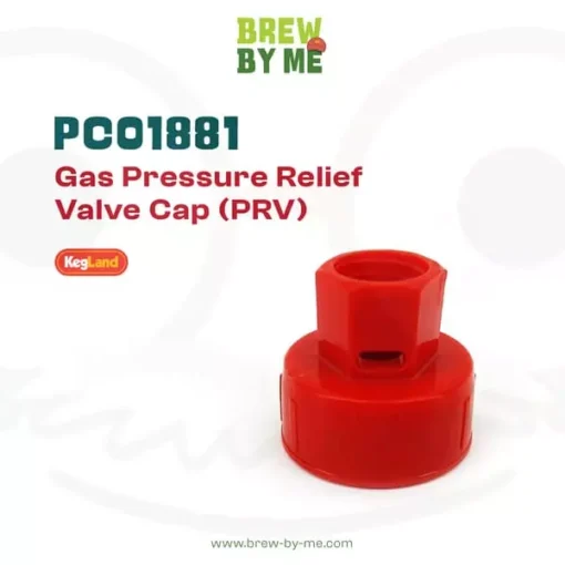 PCO1881 Gas Pressure Relief Valve Cap (PRV)