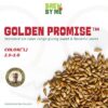 Golden Promise ™ Pale Ale Malt - Thomas Fawcett