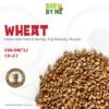 Wheat Malt - Thomas Fawcett & Sons