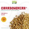 CARABOHEMIAN – Weyermann®