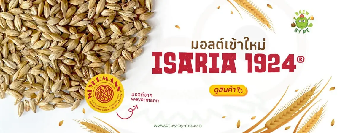 มอลต์เข้าใหม่-isaria-