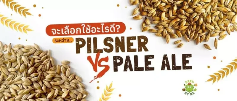 จะเลือกใช้อะไรดี Pale Ale VS Pilsner 